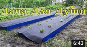 ВЫСОКИЕ ГРЯДКИ своими руками???