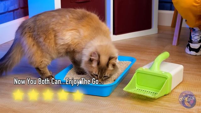 Save This Tiny Cat | Secret Hacks for Pet Owners! смотреть онлайн