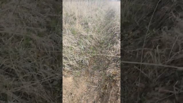 Дренаж со стороны дома 160 труба смотреть онлайн