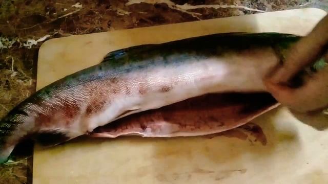 Вкусные рецепты рыбы