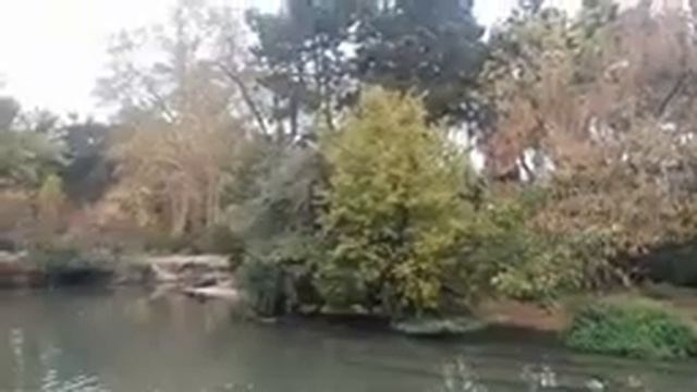 Парк «Тет д’Ор» в городе Лион, Франция!  Parc de la Tête d’Or, Lyon, France! смотреть онлайн