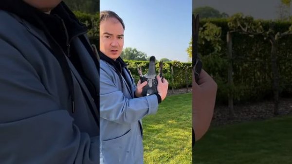 Inbreed - "LITTLE JOE" - LONG DISTANCE