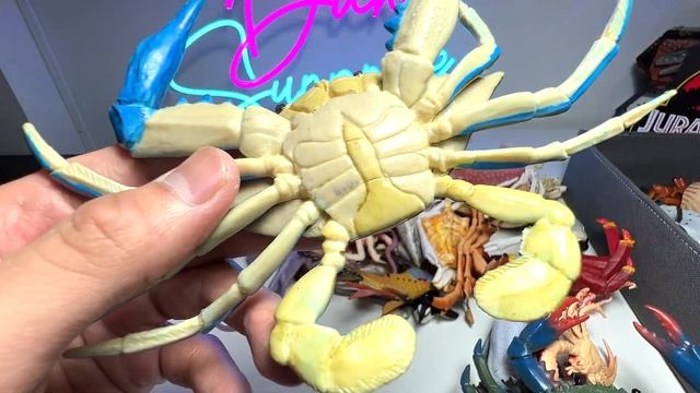 New Sea Animals - Penguin, Octopus, Crab, Squids, Hermit Crab, African Penguin, Seahorse, Polar Bea смотреть онлайн