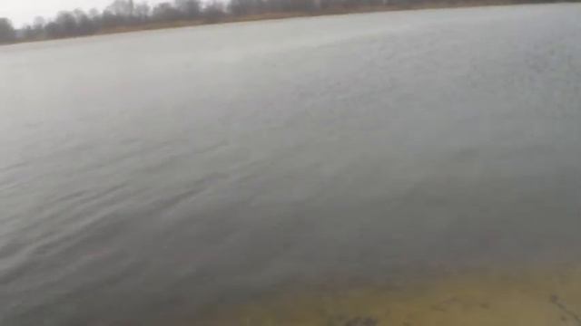 24.02.20. Утренняя прогулка. Приглашаю на зимнее купание и т. д. Евгений Денчик смотреть онлайн