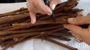 Заготовка и хранение черенков винограда зимой