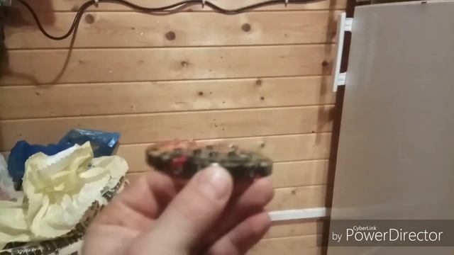 Самодельная поилка перепелятам , цыплятам для первых дней жизни смотреть онлайн