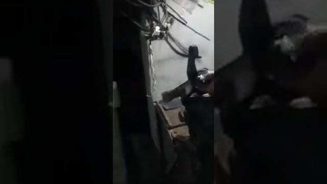 Rulman değişimi 2 смотреть онлайн
