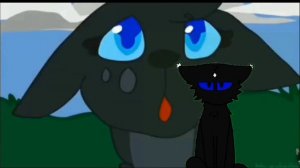 реакция на Алогривку! @AlogrivkaKV Сью или КВшник? #котывоители #возрадимрукв