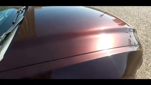 Color Morphing! Ford Mustang- Full Gloss Black Rose Wrap смотреть онлайн