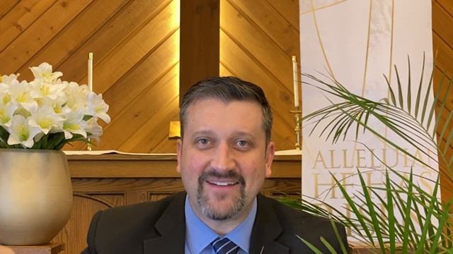 E4K - Palm Branches смотреть онлайн