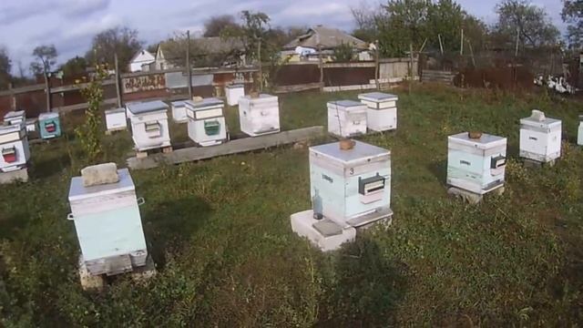 зимовка пчел без утеплителя. открытый холодный верх 2018.