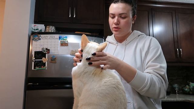 На домашнем| я не делала это 2,5 месяца ?/походы к врачу, мое питание ?️ #калгари #vlog смотреть онлайн