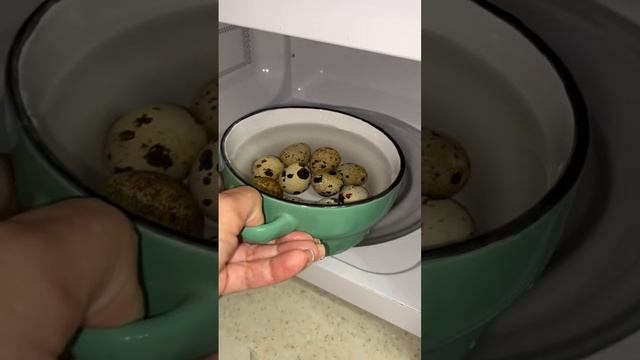 Говорят перепелиные яйца в микроволновке во время варки разлетаются смотреть онлайн