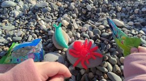 Новые стики малс, такие ещё не попадались. Распаковка на море.