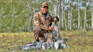 Охота на вяхиря | Уток нет, стреляем голубей!