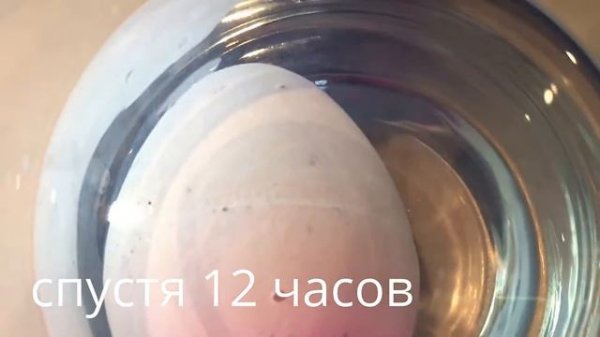 Выращиваем яйца \ Growing Egg