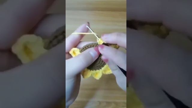 Подсолнух крючком. смотреть онлайн