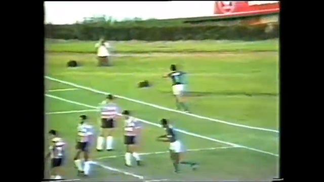 Palmeiras 3 x 0 Inter de Limeira - Campeonato Paulista 1990 смотреть онлайн