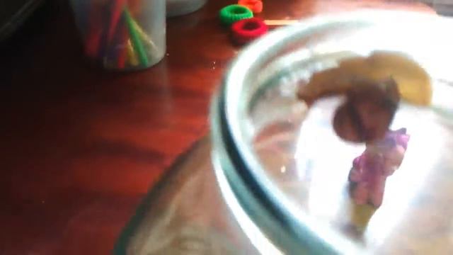 Улитка Ахатина у меня дома! смотреть онлайн