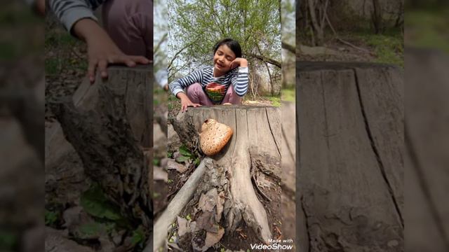 Бишкек арчинское водохранилище смотреть онлайн