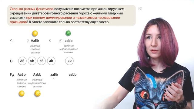 Задачи по генетике | Задание №4 | ЕГЭ-2024 по биологии смотреть онлайн