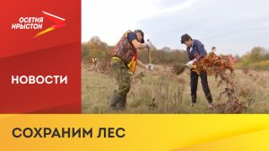 В Црау высадили 1700 саженцев красного дуба