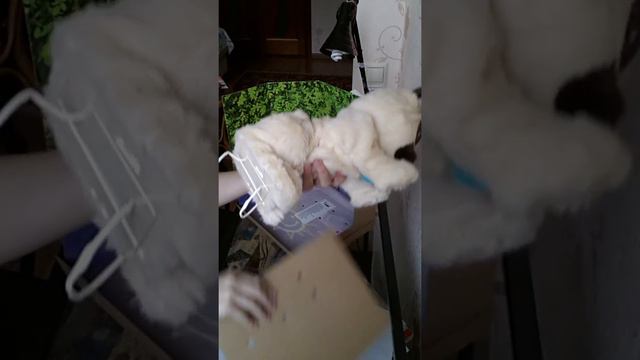 Интерактивный МОПС Тэри!!#♡♥ смотреть онлайн