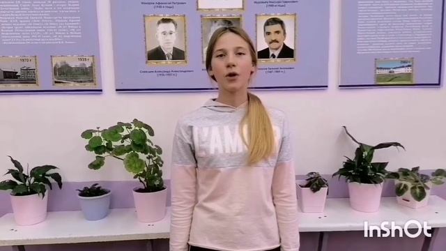 273 смотреть онлайн