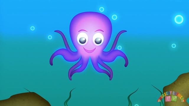 Английские песни для детей. ANIMALS IN THE OCEAN. Учи веселые английские песни для детей смотреть онлайн