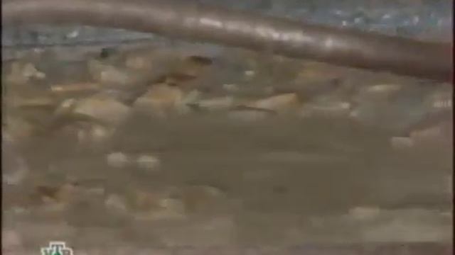 Темная История тюремных татуировок смотреть онлайн