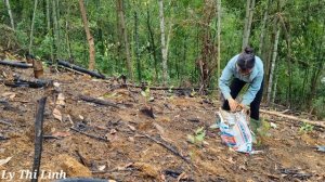 full video. pig care. go to the market to sell figs, water spinach... build a farm-Ly Thi Linh