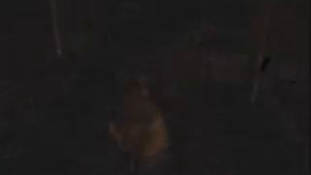 [PS2 Silent Hill: Origins] Hospital (P.2/2) смотреть онлайн