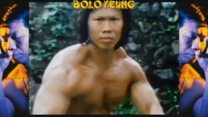 МОИ  ЗВЕЗДЫ VHS  БОЛО ЯНГ (Bolo Yeung)