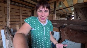 Решили с Лидой всех порадовать Купили разных роллов и 4 пиццы