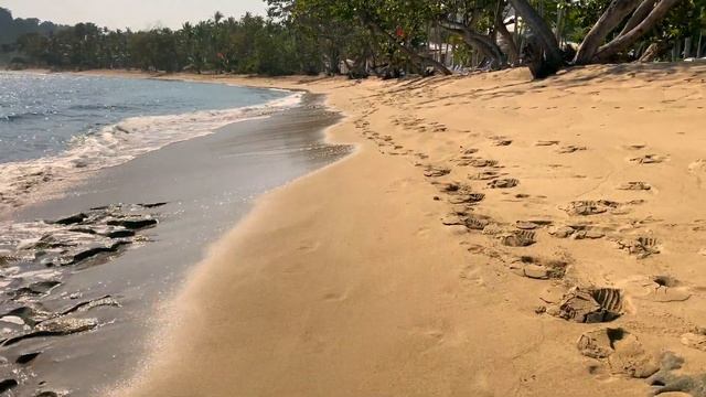 Walk around Playa Bachata Resort. Dominikana 2021. 4k смотреть онлайн
