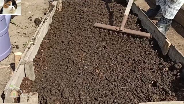 Прореживание и пересадка ростков свеклы. Как прореживать свеклу в открытом грунте смотреть онлайн