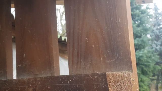 Мускусные утки! Утятник, уборка, осушение! Дез.препарат Клиносан .Откидной козырек для двери ! смотреть онлайн