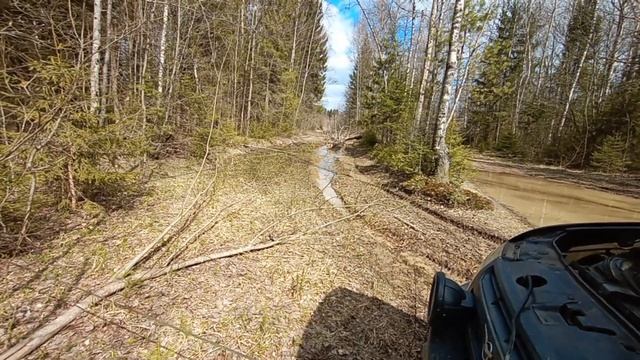 Как убрать с дороги упавшее дерево с помощью УАЗ смотреть онлайн