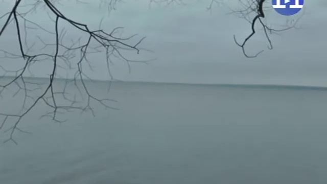 Навигация закрыта смотреть онлайн