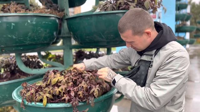 Мы в Самаре,забери свой косарь ₽ смотреть онлайн