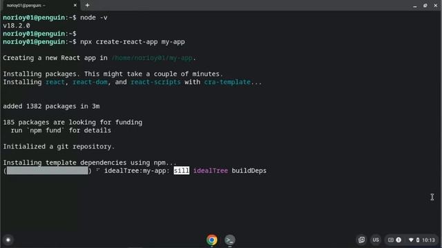 Install React on Chromebook Linux смотреть онлайн