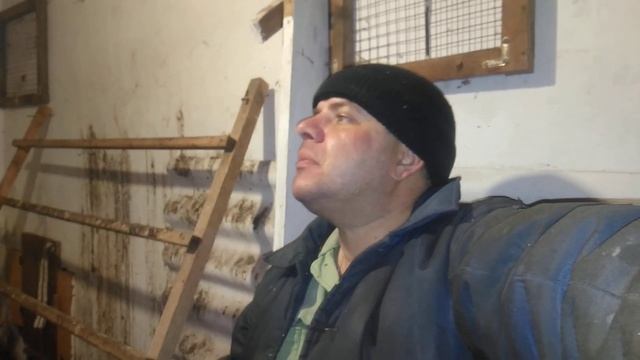 Содержание птицы, зимний вариант. Запас питания на сутки. смотреть онлайн