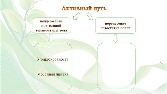 Тема 8. Приспособления живых организмов к сезонным ритмам условий среды обитания смотреть онлайн