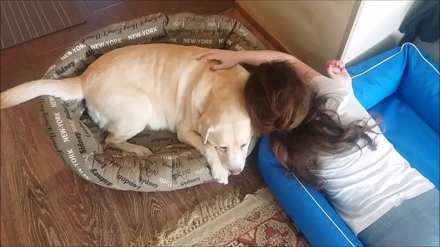 А должно быть так! смотреть онлайн