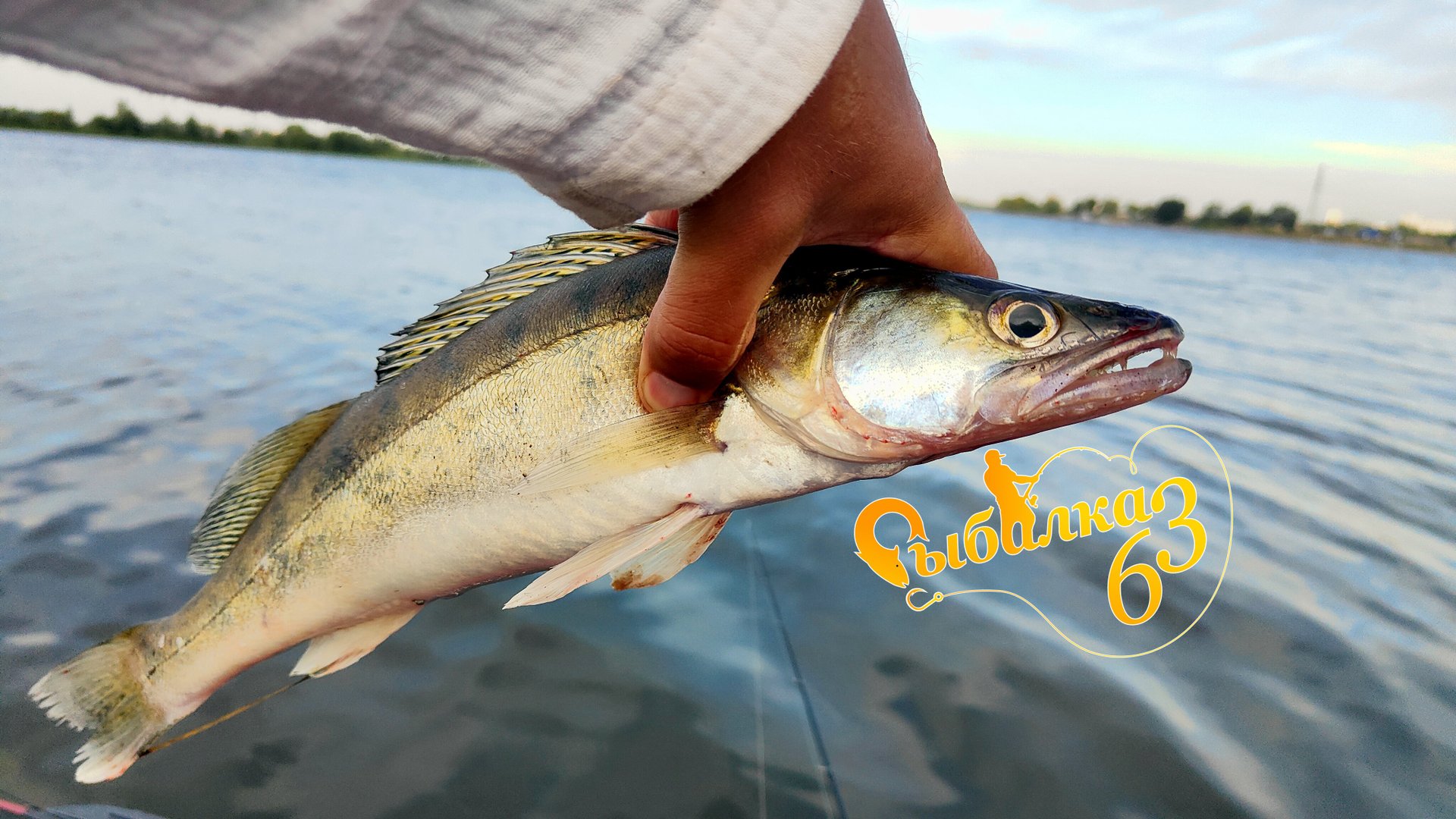ВМЕСТЕ СУДАКОМ И ЩУКА СТОИТ. Рыбалка на спиннинг в жаркий Август смотреть онлайн