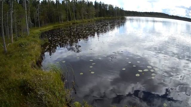 Карелия. На рыбалку в любимые места. Часть 2. смотреть онлайн