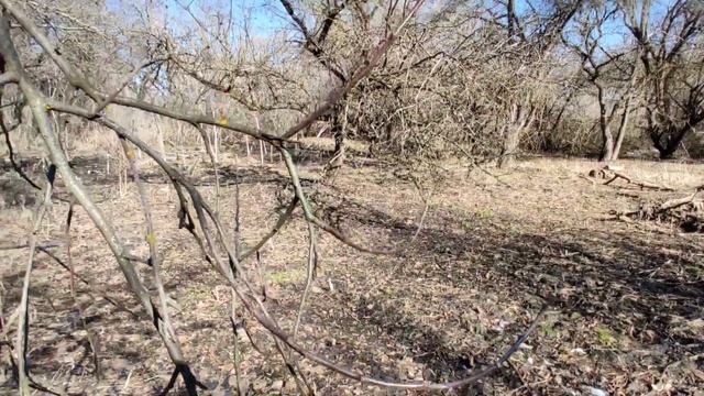 Загон готов натянули сетку!!! смотреть онлайн