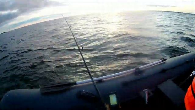 Судак на дорожку. Финский залив смотреть онлайн