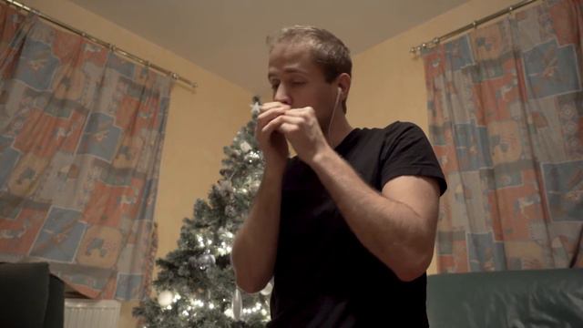 Knockin' on Heaven's Door - Bob Dylan - Harmonica Cover смотреть онлайн