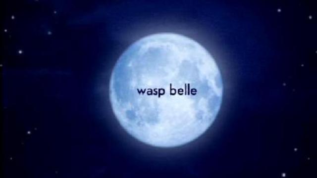 Осиные Баталии